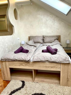 Top Center Apartment Novi Sad